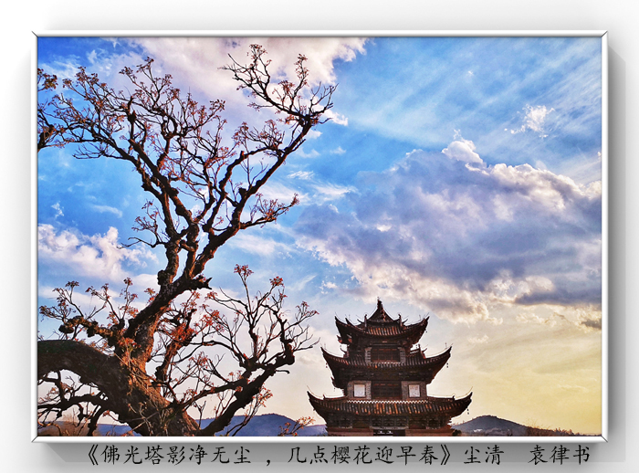 025《佛光塔影凈無塵 ，幾點櫻花迎早春》.jpg